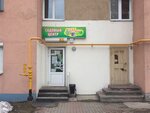 РозМарин (Nasedkina Street, 2/47), gardening shop