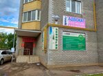 Ip Galiyeva Liliya Sagitovna (ulitsa Pugachyova, 19Б), environmental organization