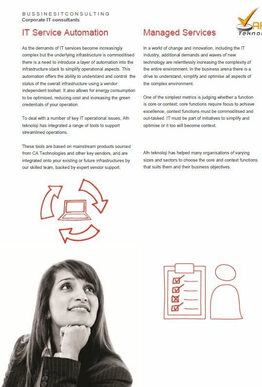 IT company Afn Technology, Istanbul, photo