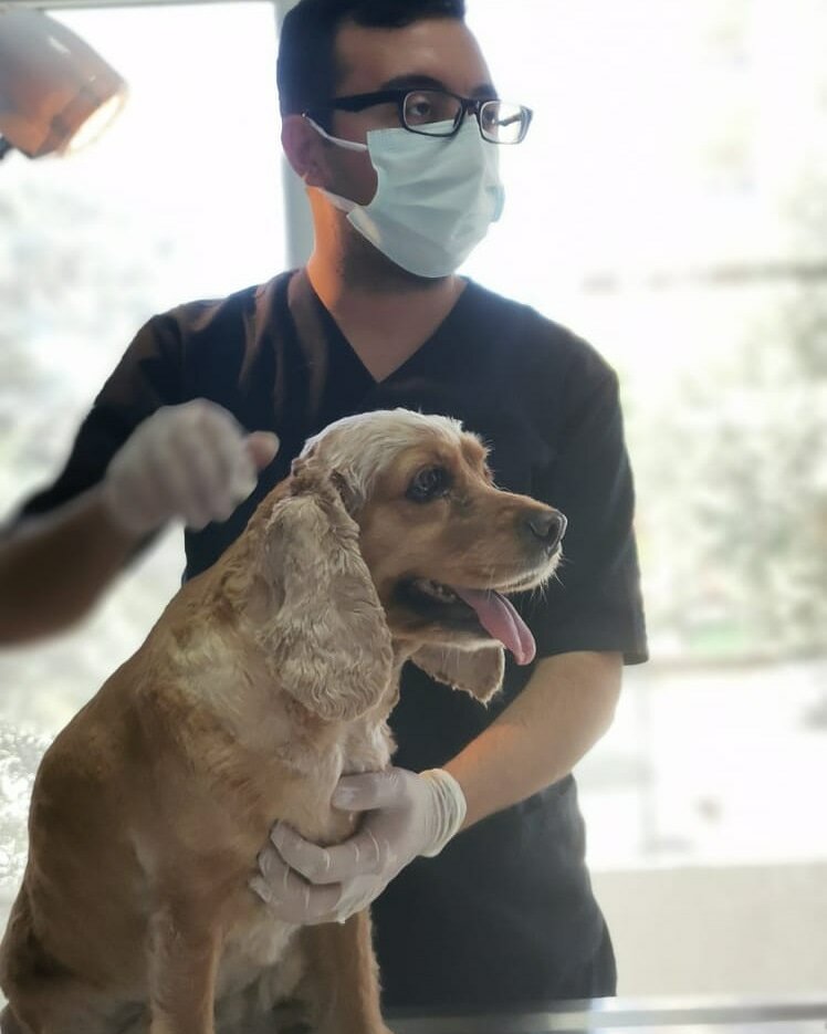 Veterinary clinic Alvin Veterinary Clinic, Izmir, photo