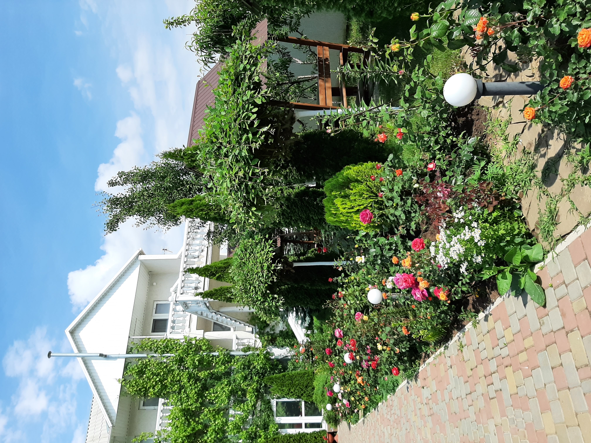 Фото Манака