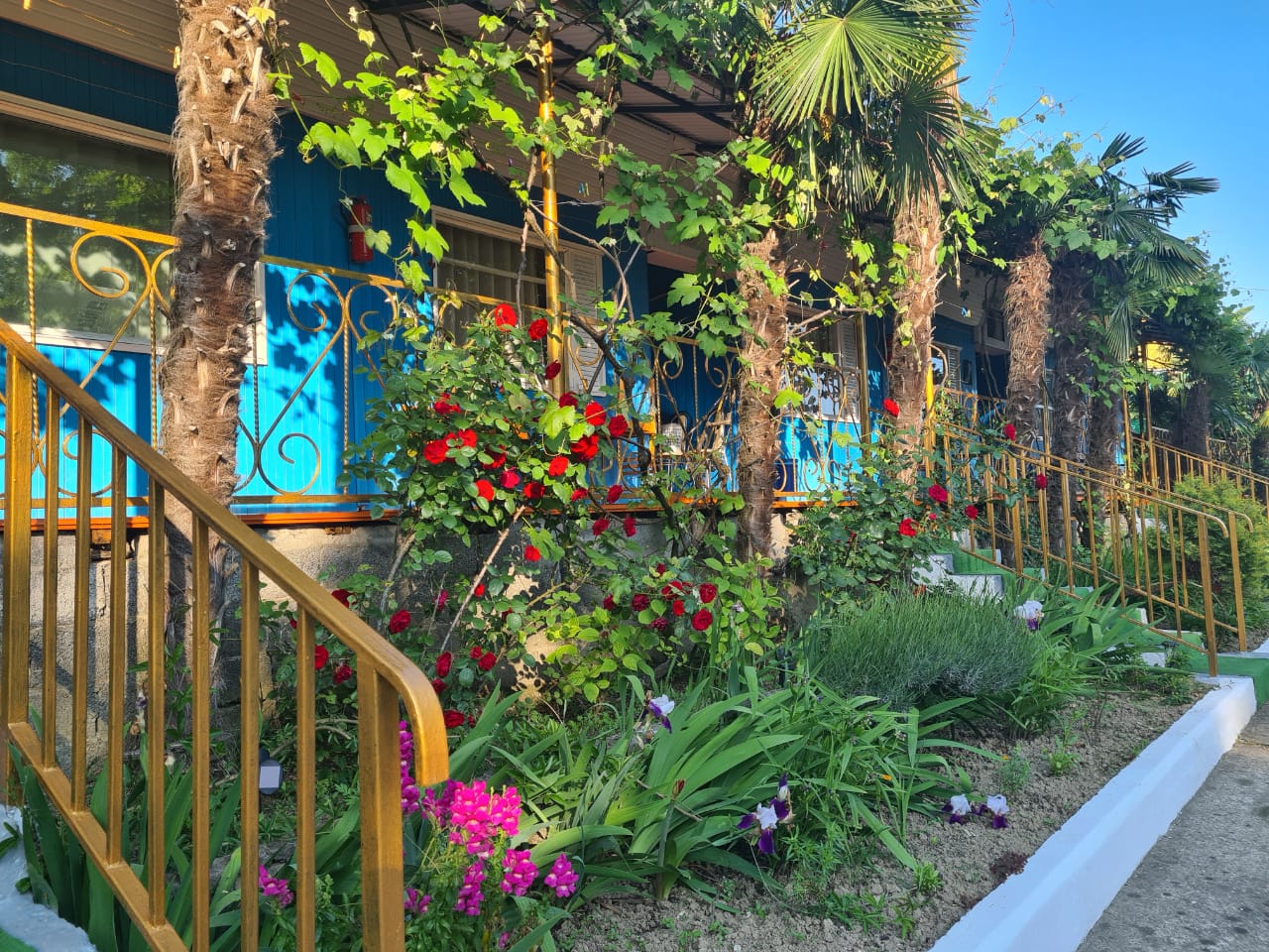 Фото Горизонт