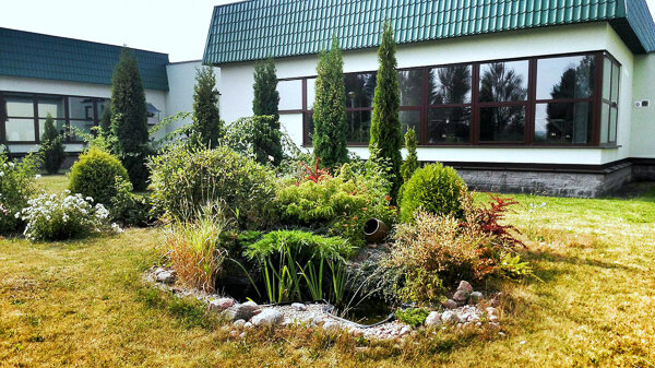 الغابات Republican Breeding and Seed Production Center ، ، صورة