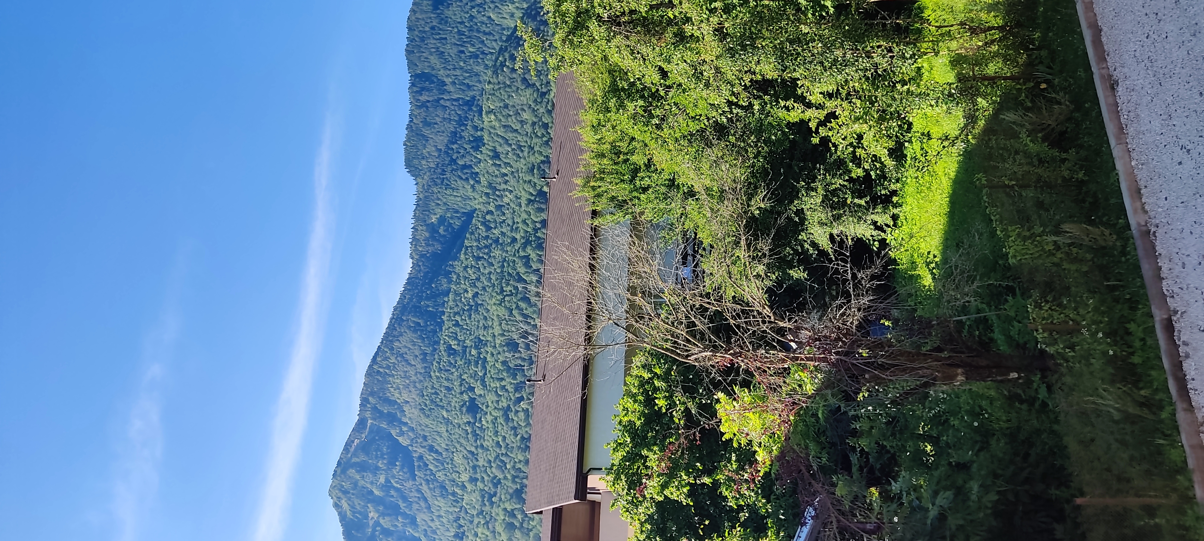 Фото Odysseya Aparts