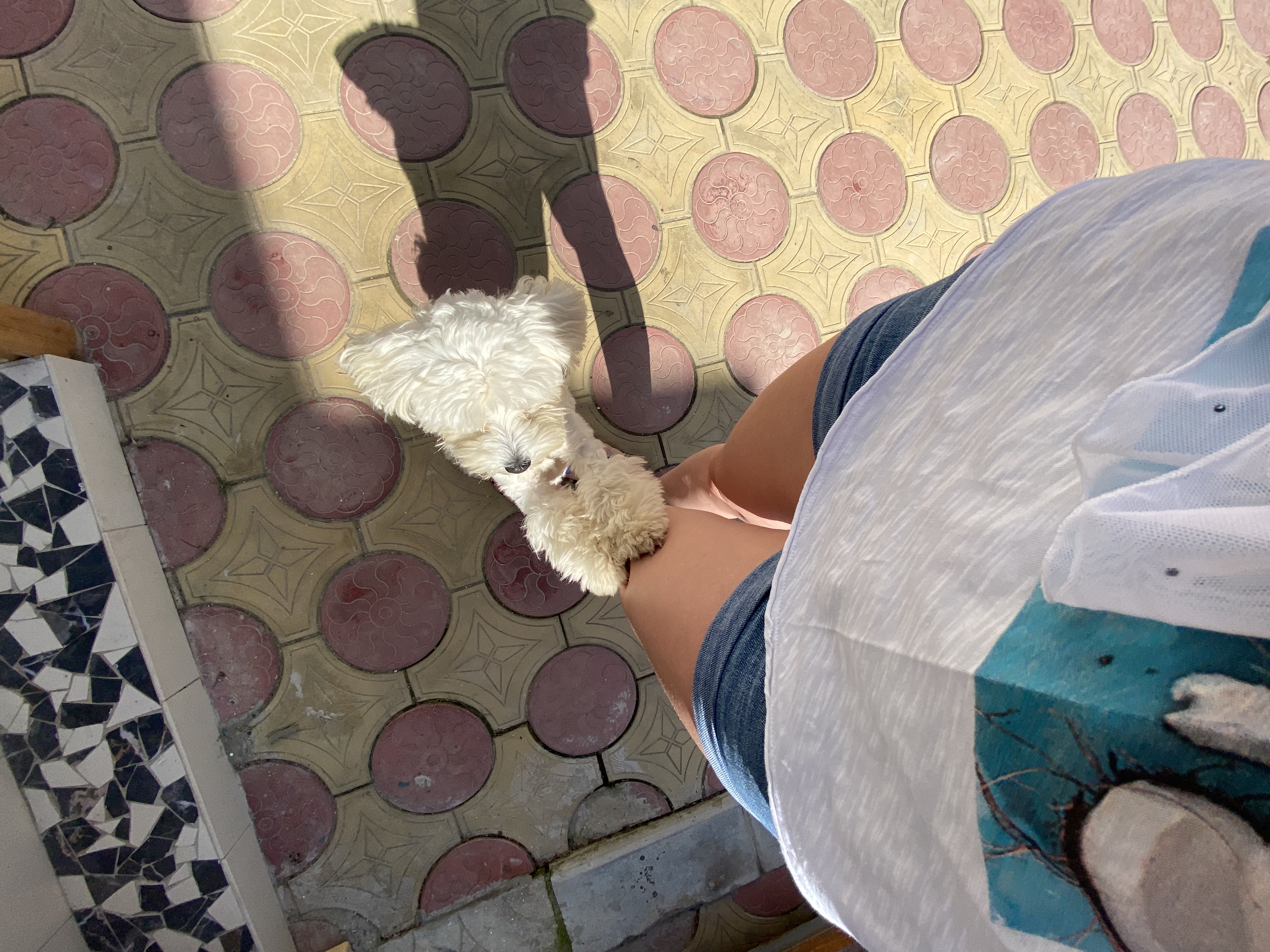 Фото Добрый хозяин