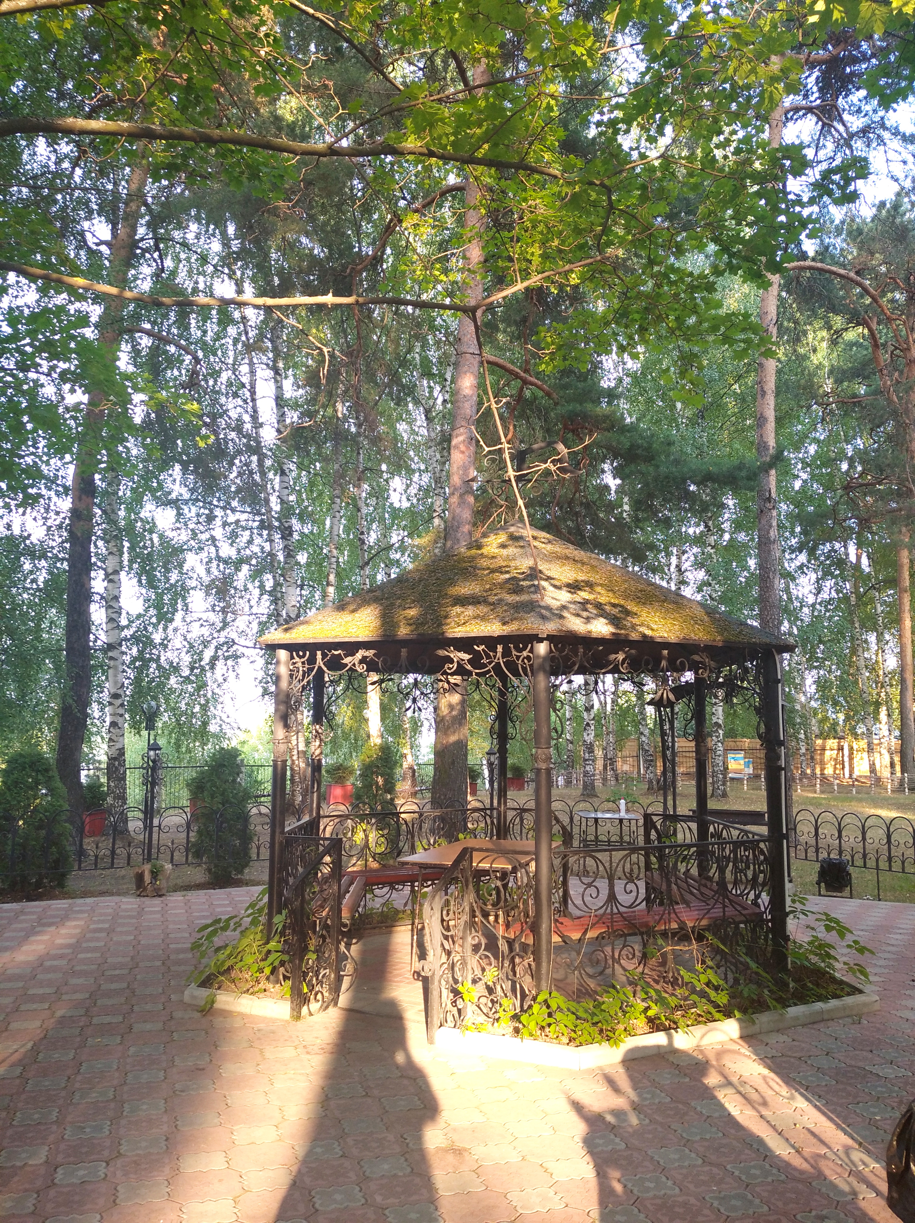 Фото Спа-Волга