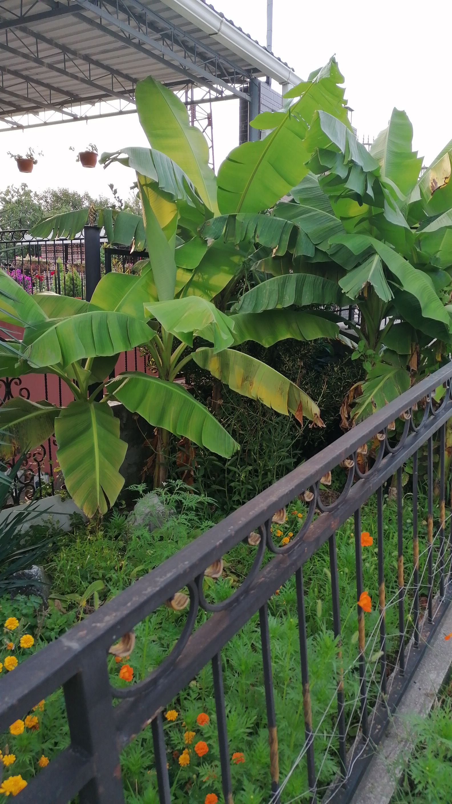 Фото Гостевой дом Анна