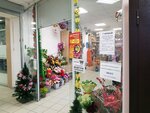 Romantica (Klubnaya Street, 24), flower shop