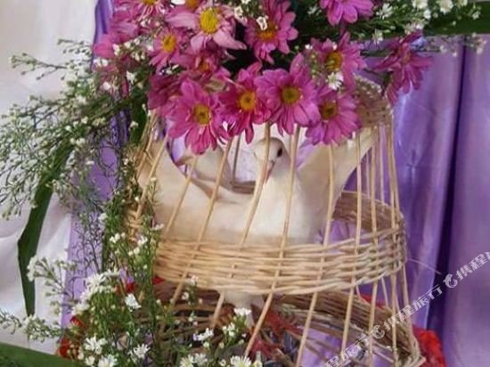 Фото Hotel Carmelita