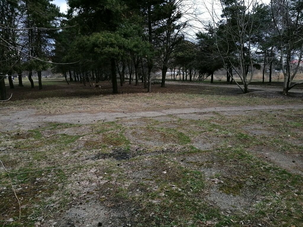 Городской сад Карасунский, парк культуры и отдыха, Россия