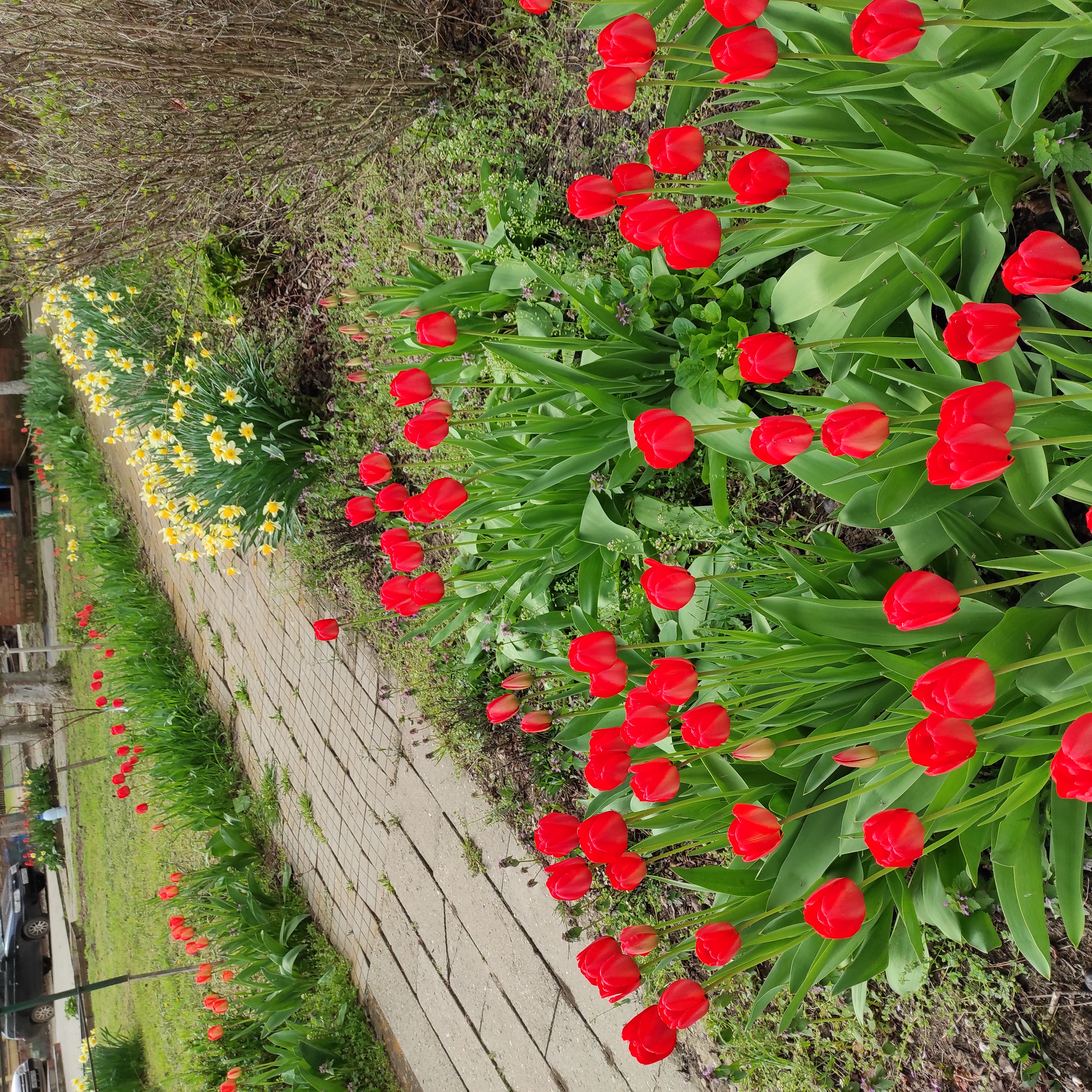 Фото Юность