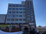 Искусственные цветы (Dekabristov Street, 23к3А), artificial plants and flowers