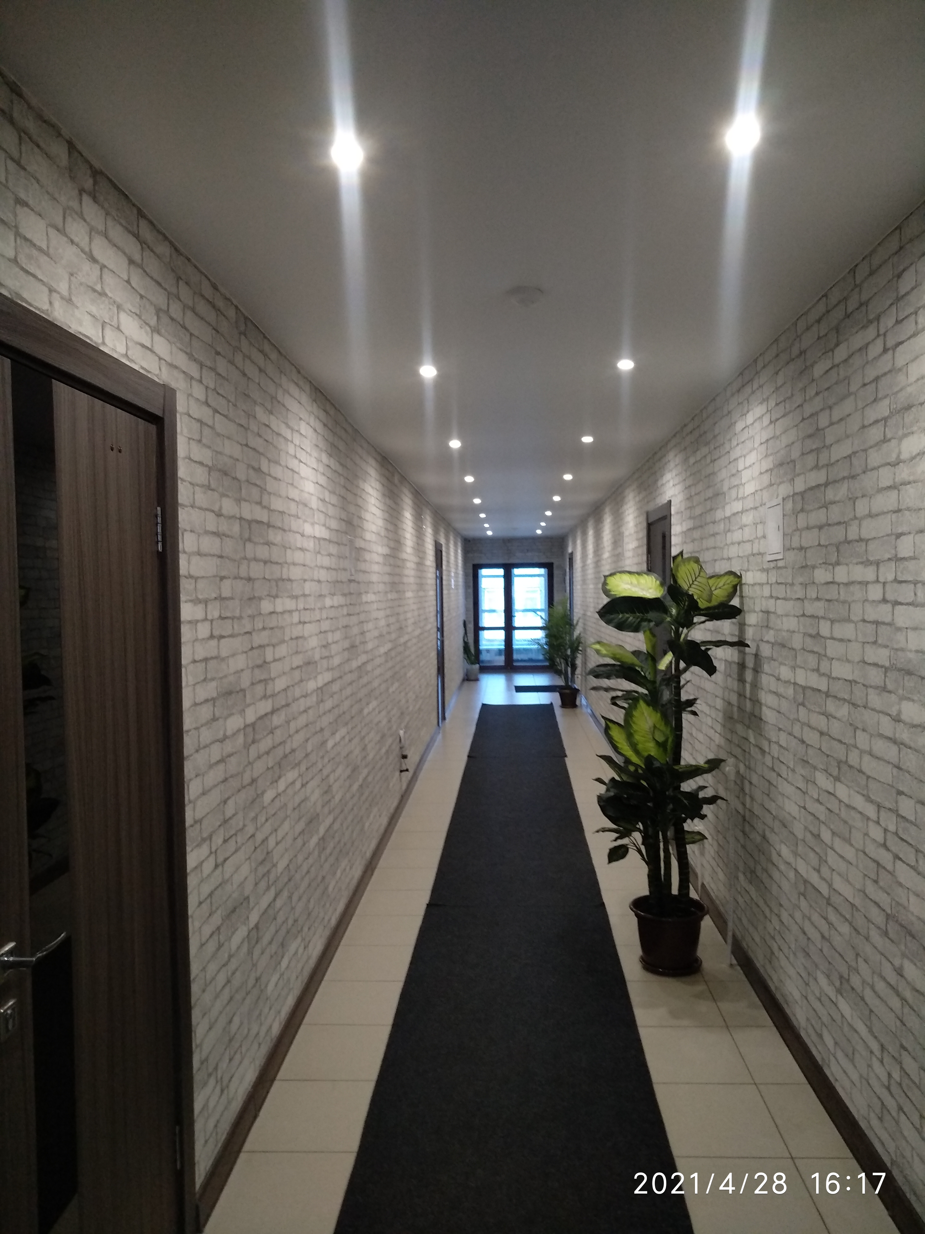 Фото Эдельвейс