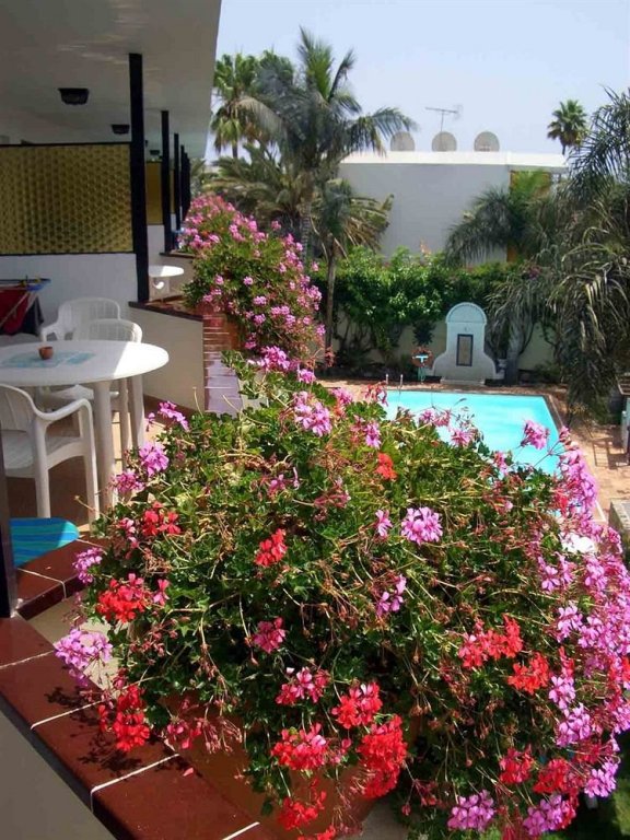 Фото VIP Apartamentos Nogal