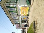 Мини мани (ulitsa Telmana, 2/1), organización de microfinanzas