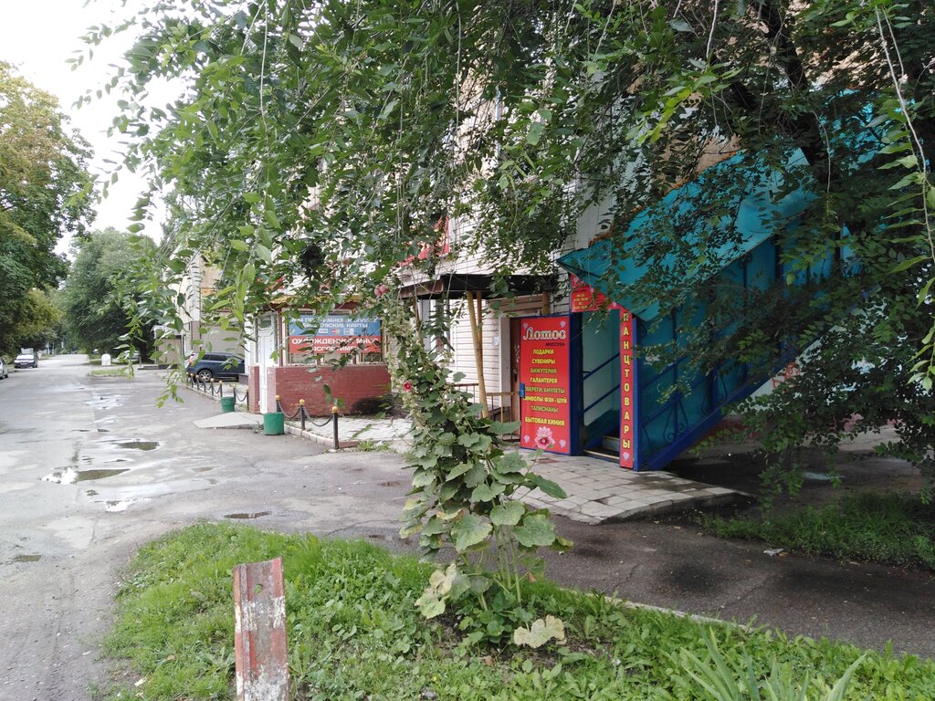 Книжный магазин Лотос, Воскресенск, фото