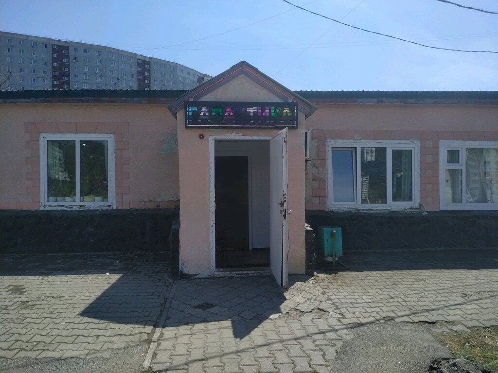 Cafe Галактика, Vladivostok, photo