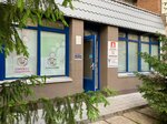 Kotopes (Stroitelnaya Street, 5), pet shop