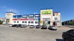Ekspert - Otsenka (Kosmonavta Belyaeva Street, 59), vehicle assessment