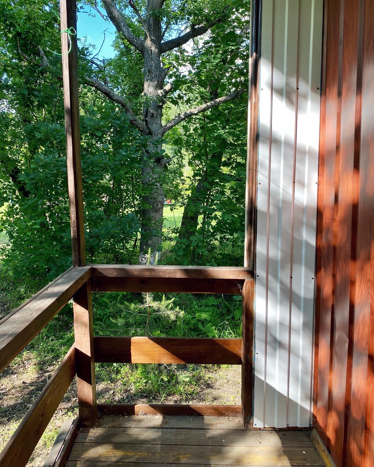 Фото Волшебница