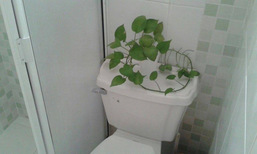 Фото Hotel Marie Real