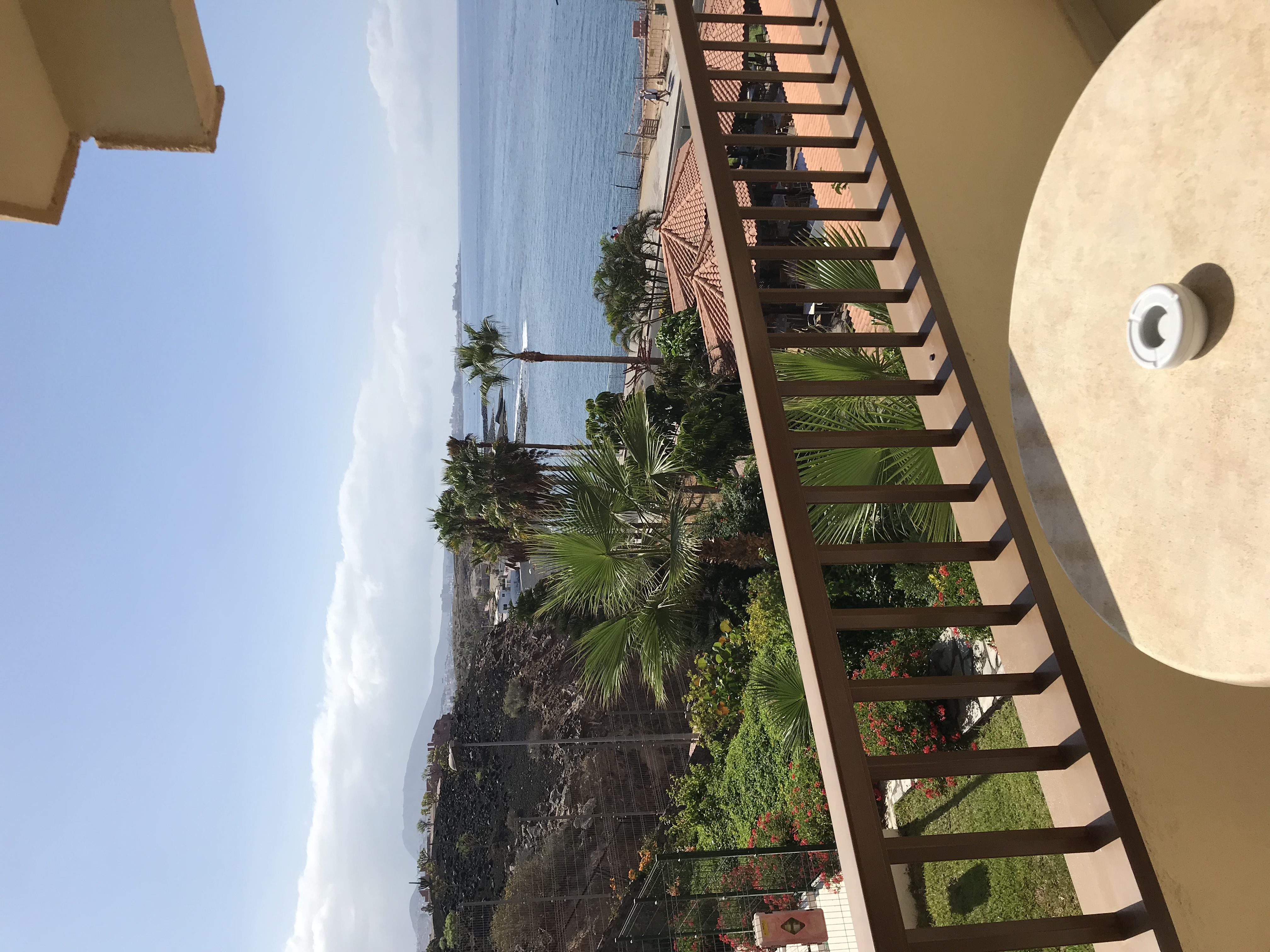 Фото Hovima Jardin Caleta