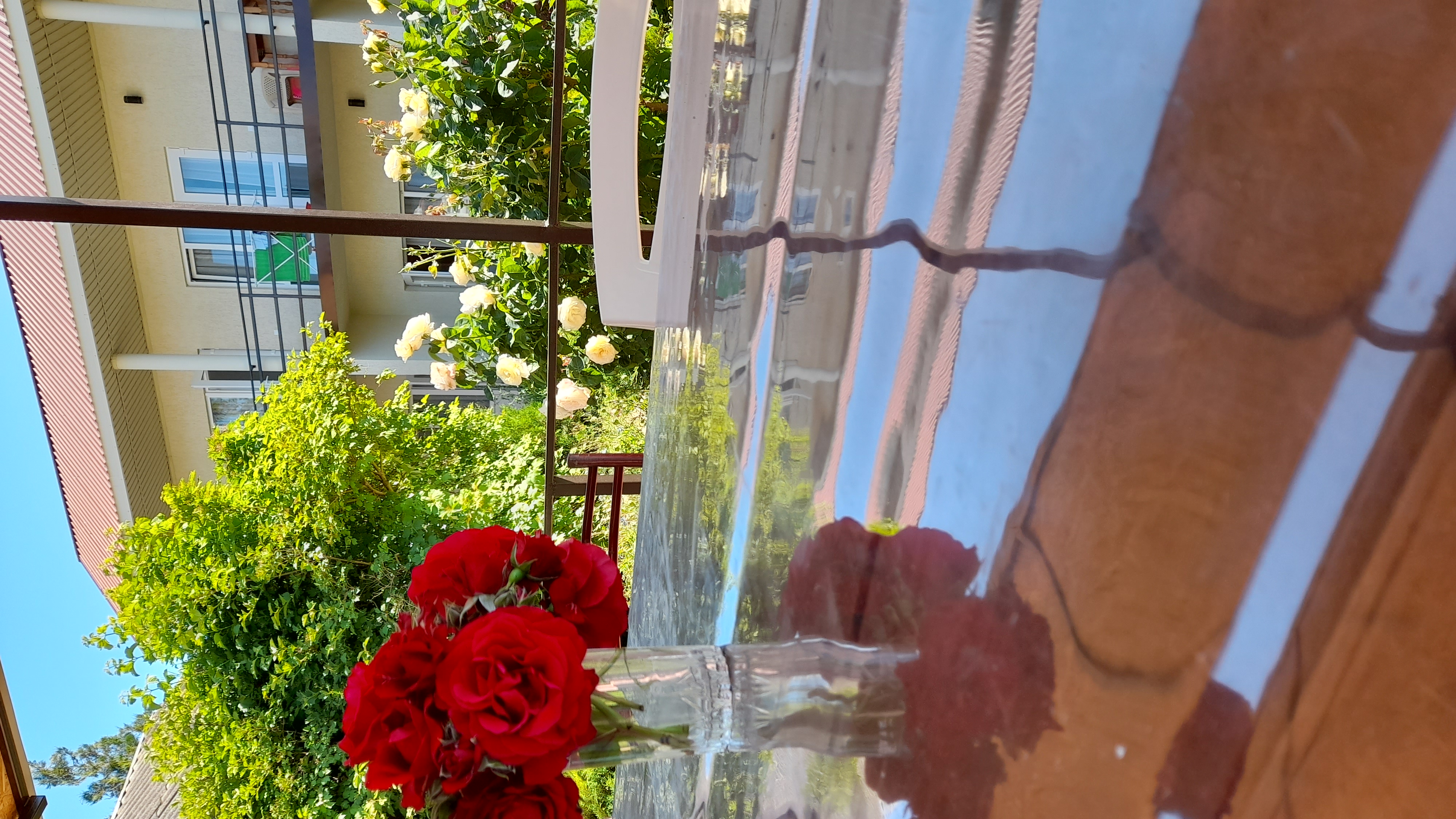 Фото Тетушка Сова