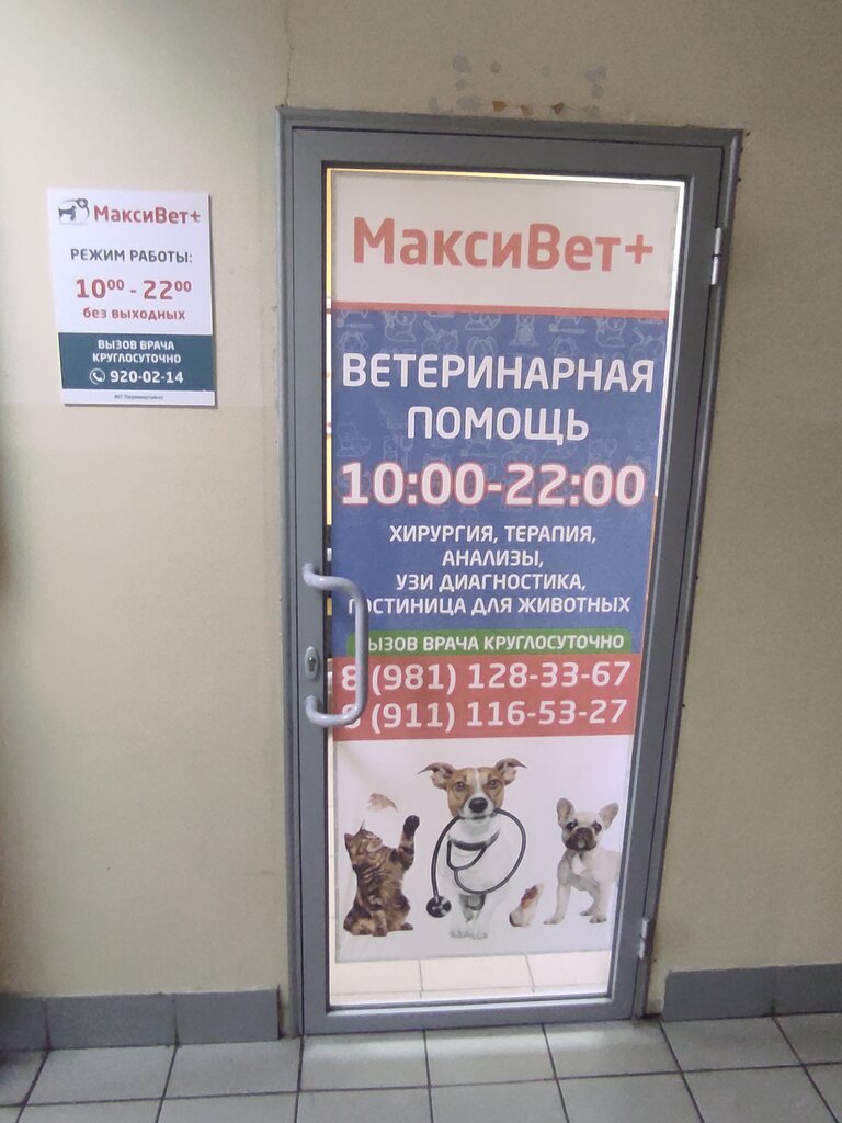عيادة بيطرية Veterinarnaya pomoch' Vettochka ، سان بطرسبرغ، صورة