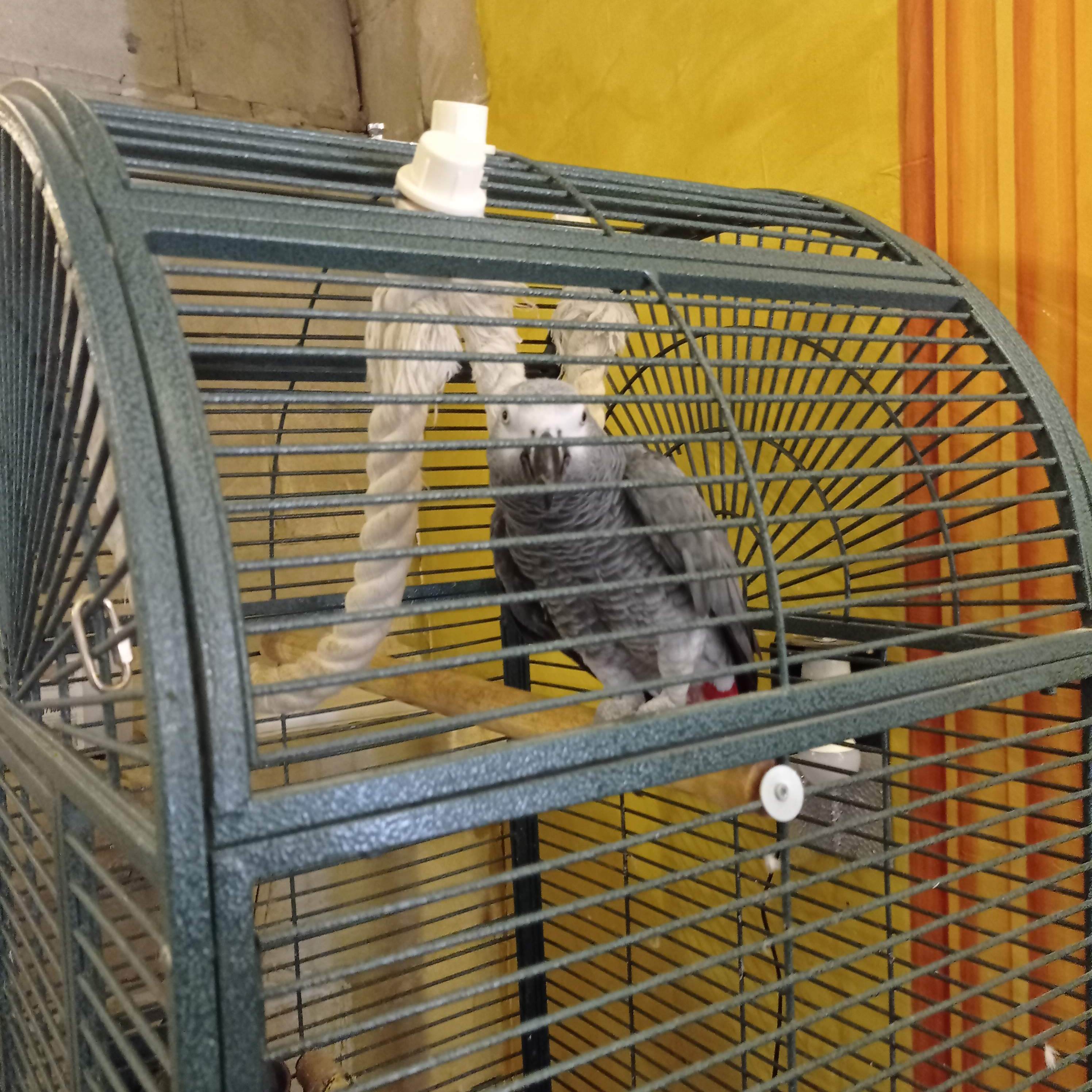 Фото Roman Boutique Hotel