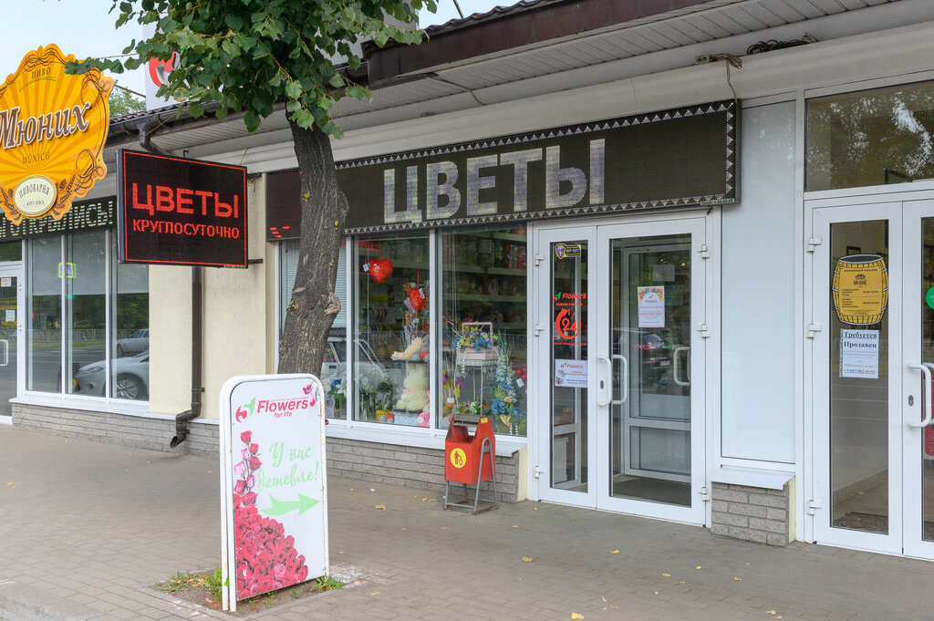 Балканстар юбилейная ул 5а тольятти фото 5 Flowers, магазин цветов, Юбилейная ул., 5А, Тольятти, Россия - Яндекс.Карты