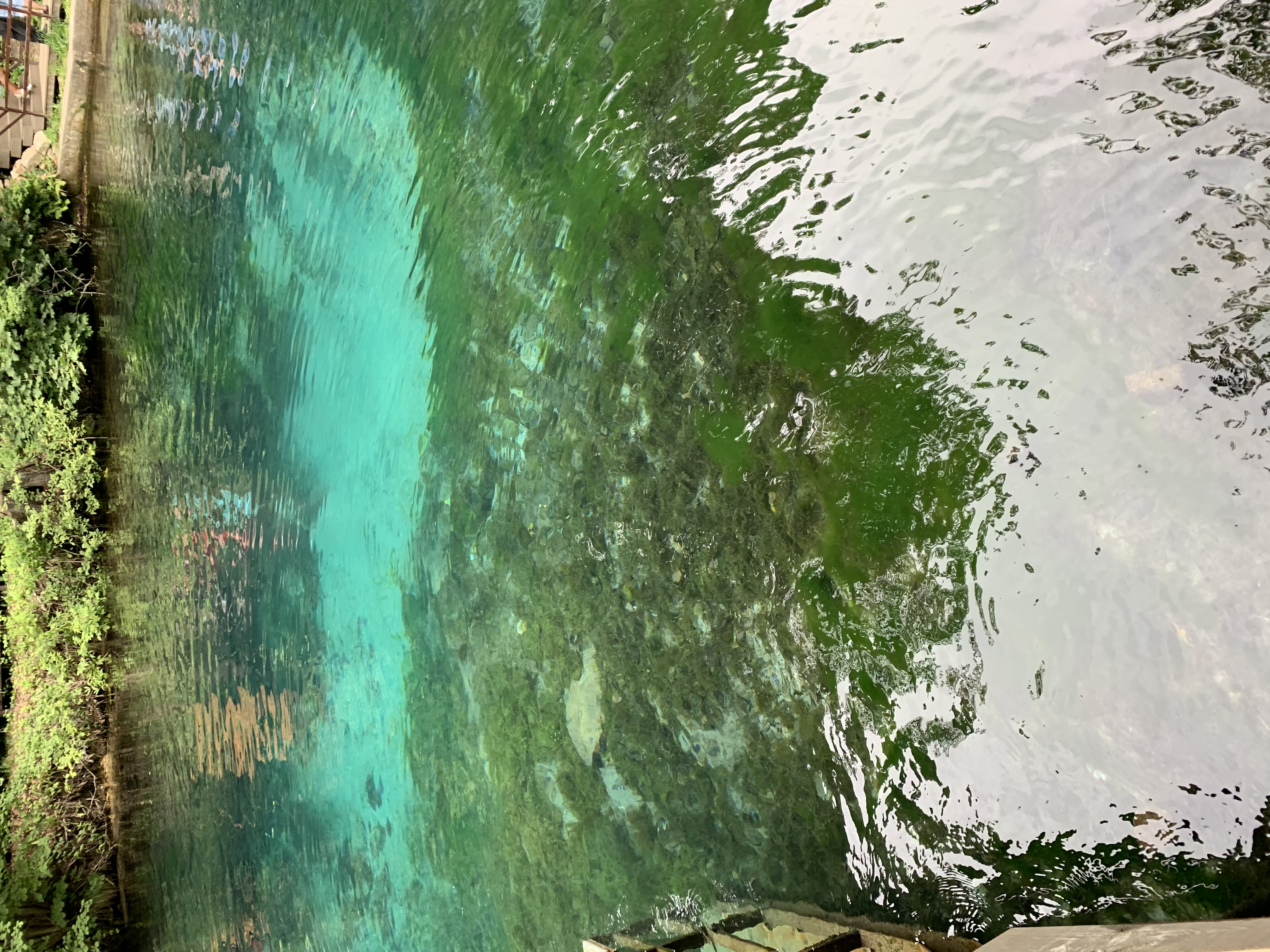 Фото Крутушка