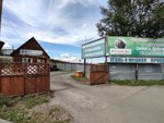 Lesotorgovaya baza № 1 (posyolok Prigorodny, Novosibirskaya Street, 48А), lumber