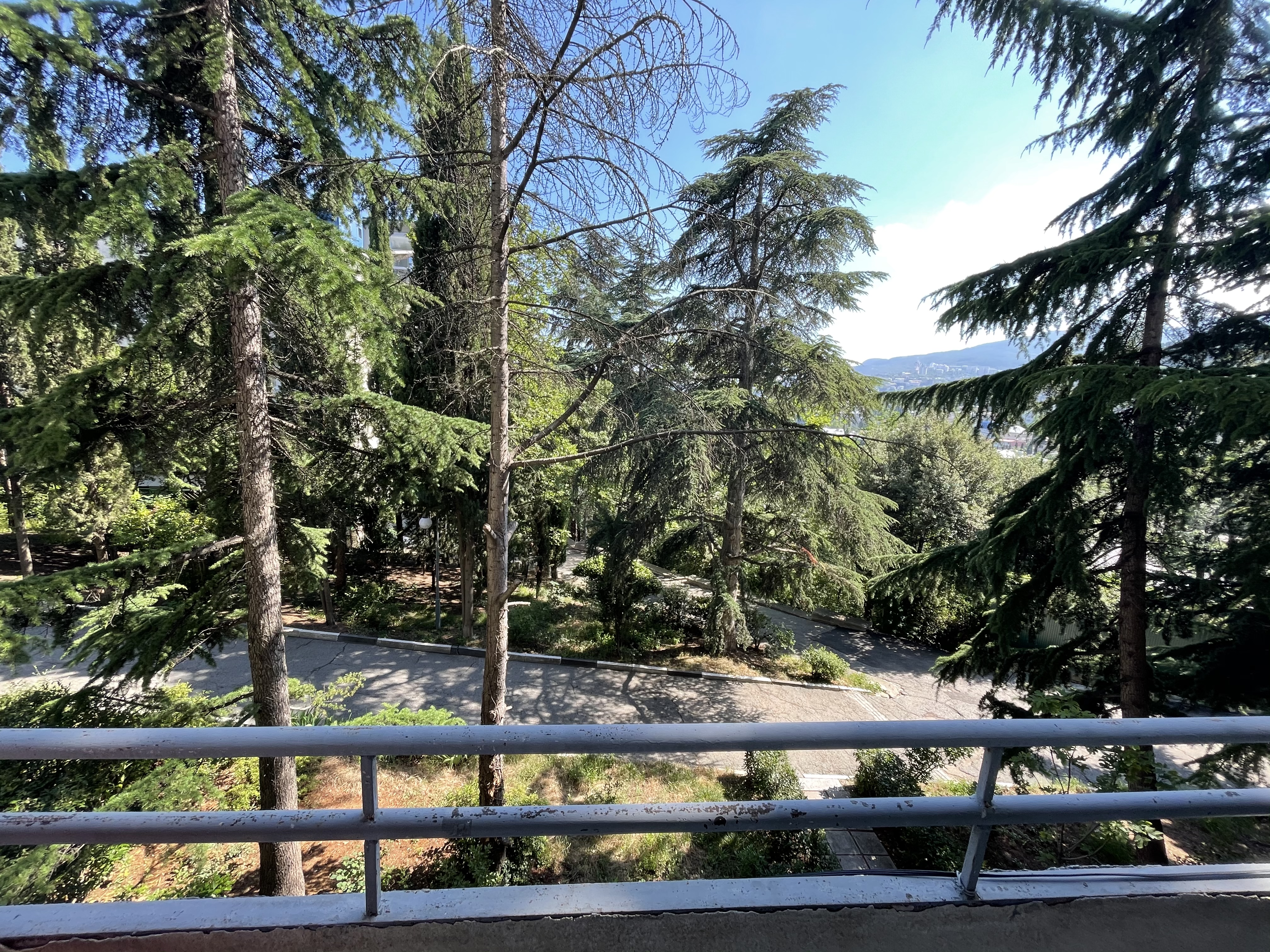 Фото Адмирал Ялта