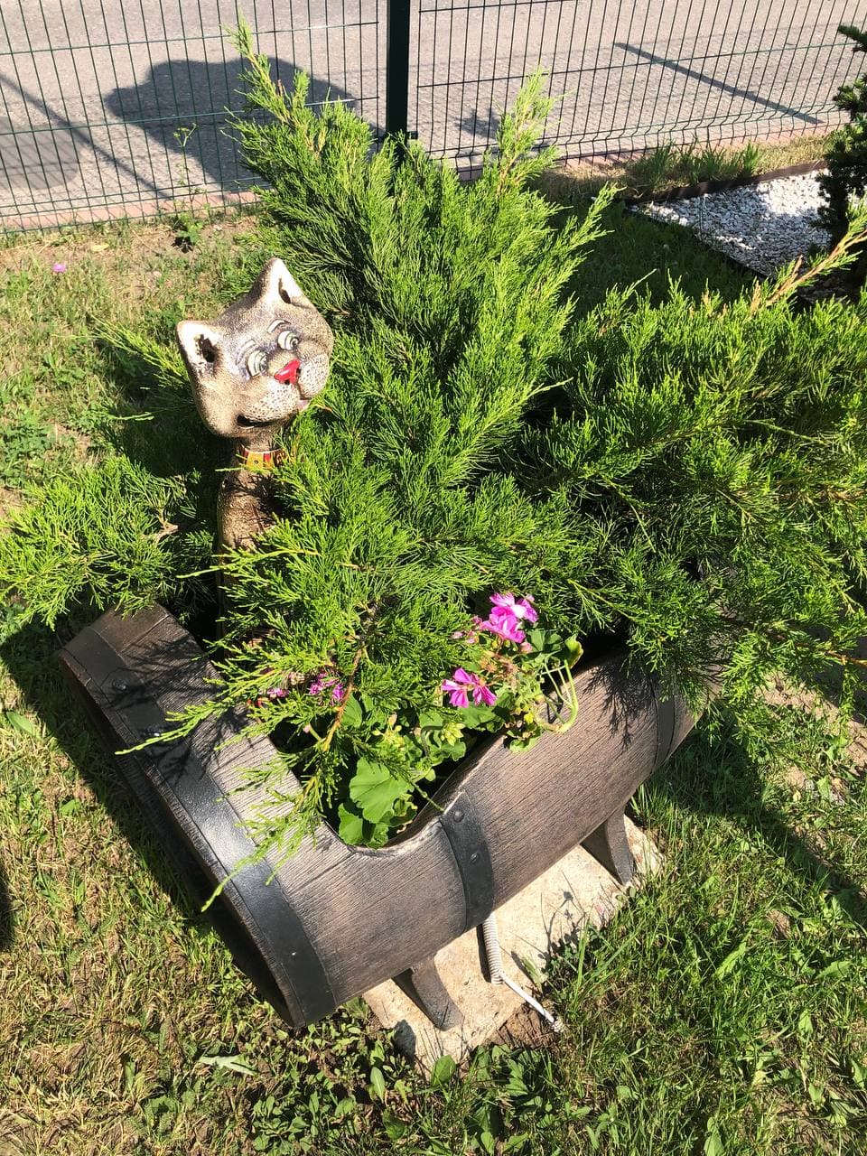 Фото Галерея