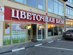 Baza_cvetov_pyatigorsk (Beshtaugorskoye Highway, 42) ، محل زهور