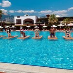Travel agency Penguin (Derzhavinska vulytsia, 4) ، وكالة أسفار