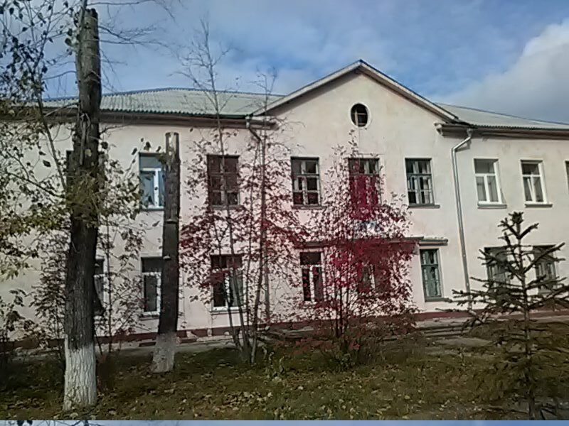 مدرسة Mkou Spetsialnaya korrektsionnaya shkola № 5 Novyye nadezhdy ، نوفوسيبيرسك، صورة