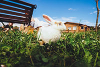 Фото Остров приключений