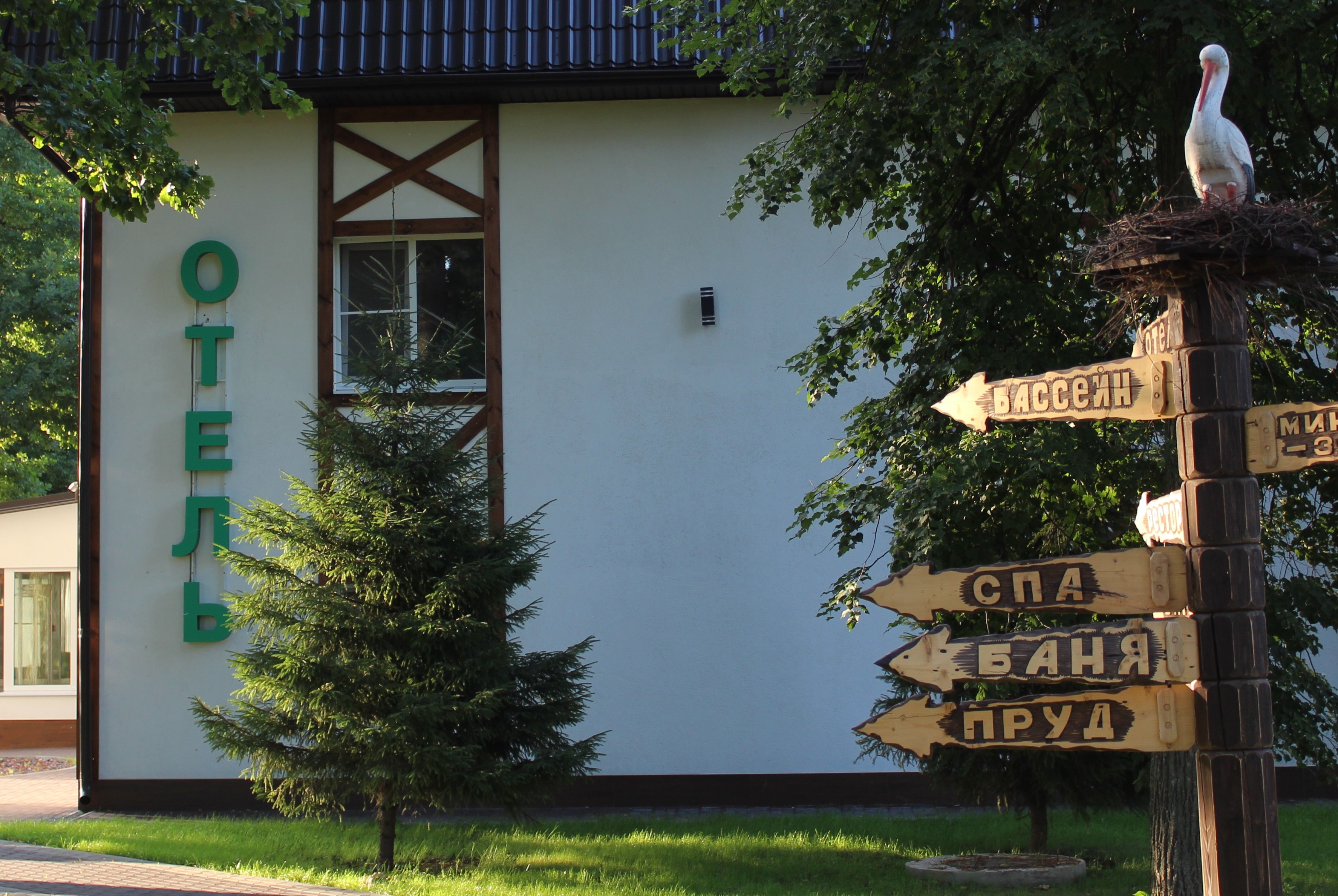 Фото Ясенки