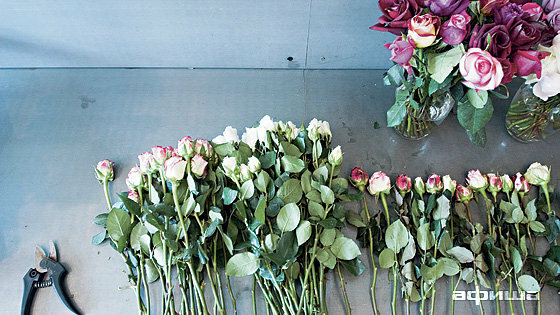 Магазин цветов Во имя розы, Москва, фото