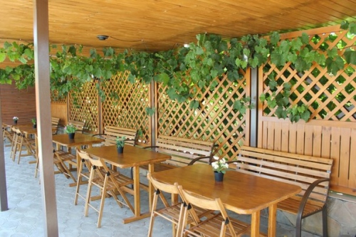 Фото Ракушка Блага