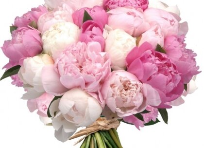 Flower shop Dom pionov, Moscow, photo