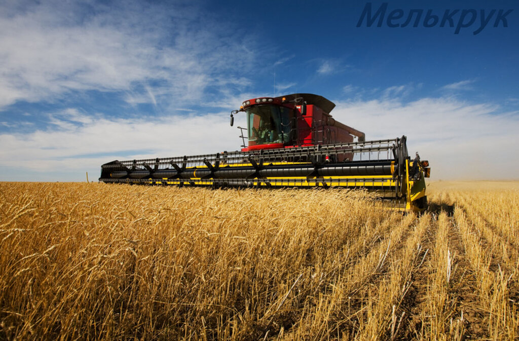 Ascensor Bryansk Grain Company-Melkrukk, , foto