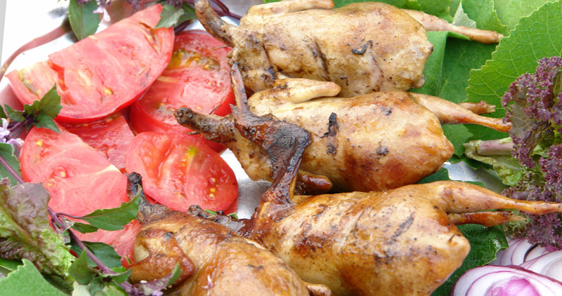 Фото Панорама