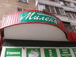 Milena (Fridrikha Engelsa Avenue, 4), hairdresser