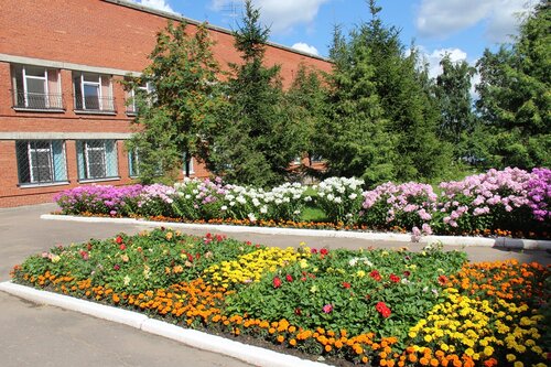 Soqollanmagan mushukning yaqindan surati