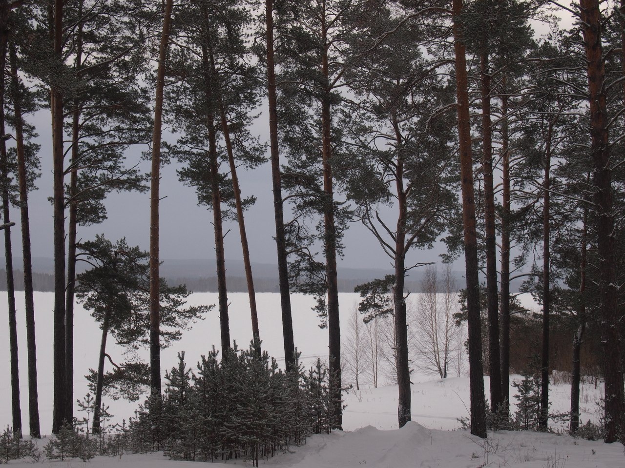 Фото Дивная усадьба