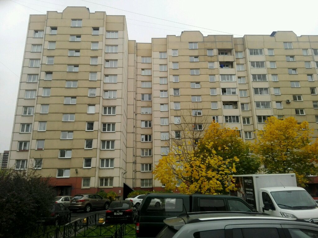 Homeowner association Nevskaya palitra, Saint Petersburg, photo