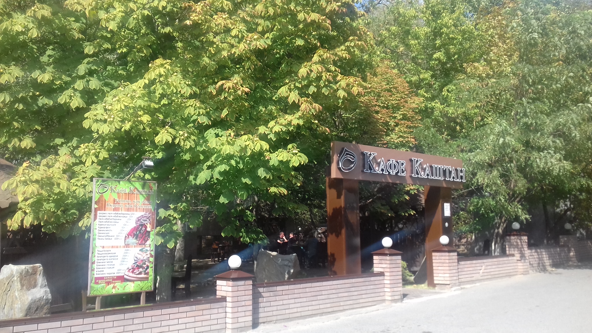 Фото Каштан