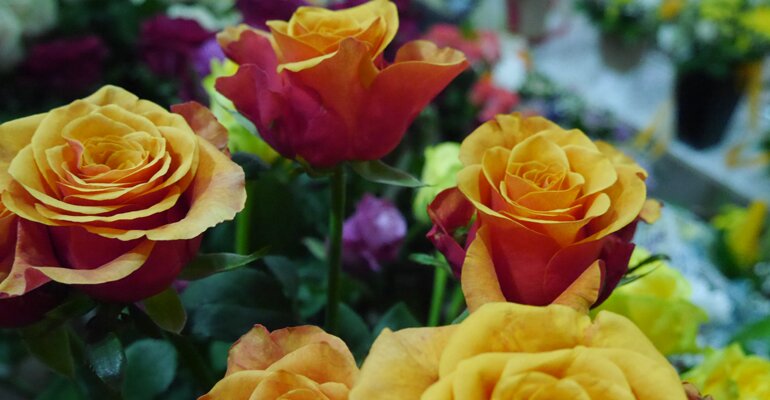 Flower shop Flower studio Aprel, Novoshahtinsk, photo